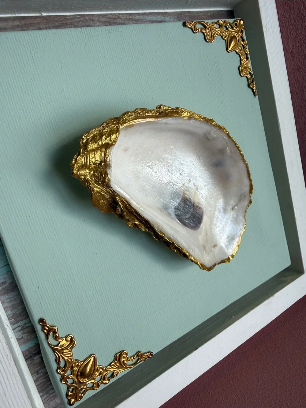 Coastal Shell Framed Wall Art in Mint with Gold Accents